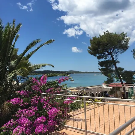 Palma Pirovac