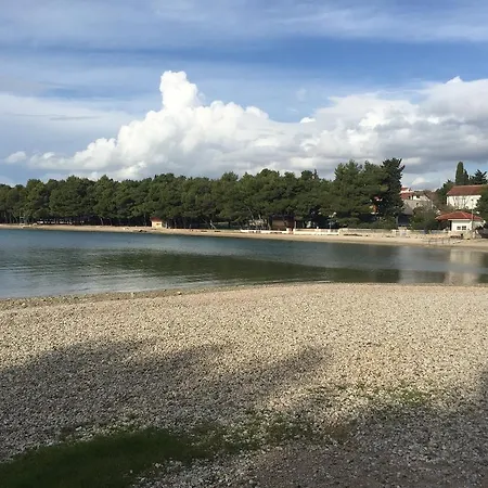 Palma Pirovac