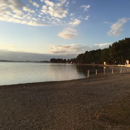 Palma